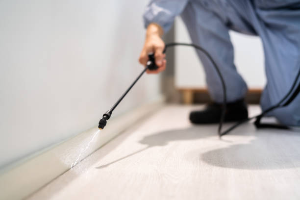 Licensed Fumigation Services service in Yolo County County, CA - Nex Pest Control